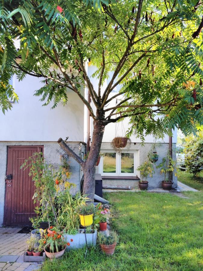 Rustykalny Apartament Siemiatycze Exterior foto